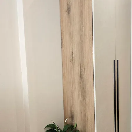 The Center 101 Apartment
